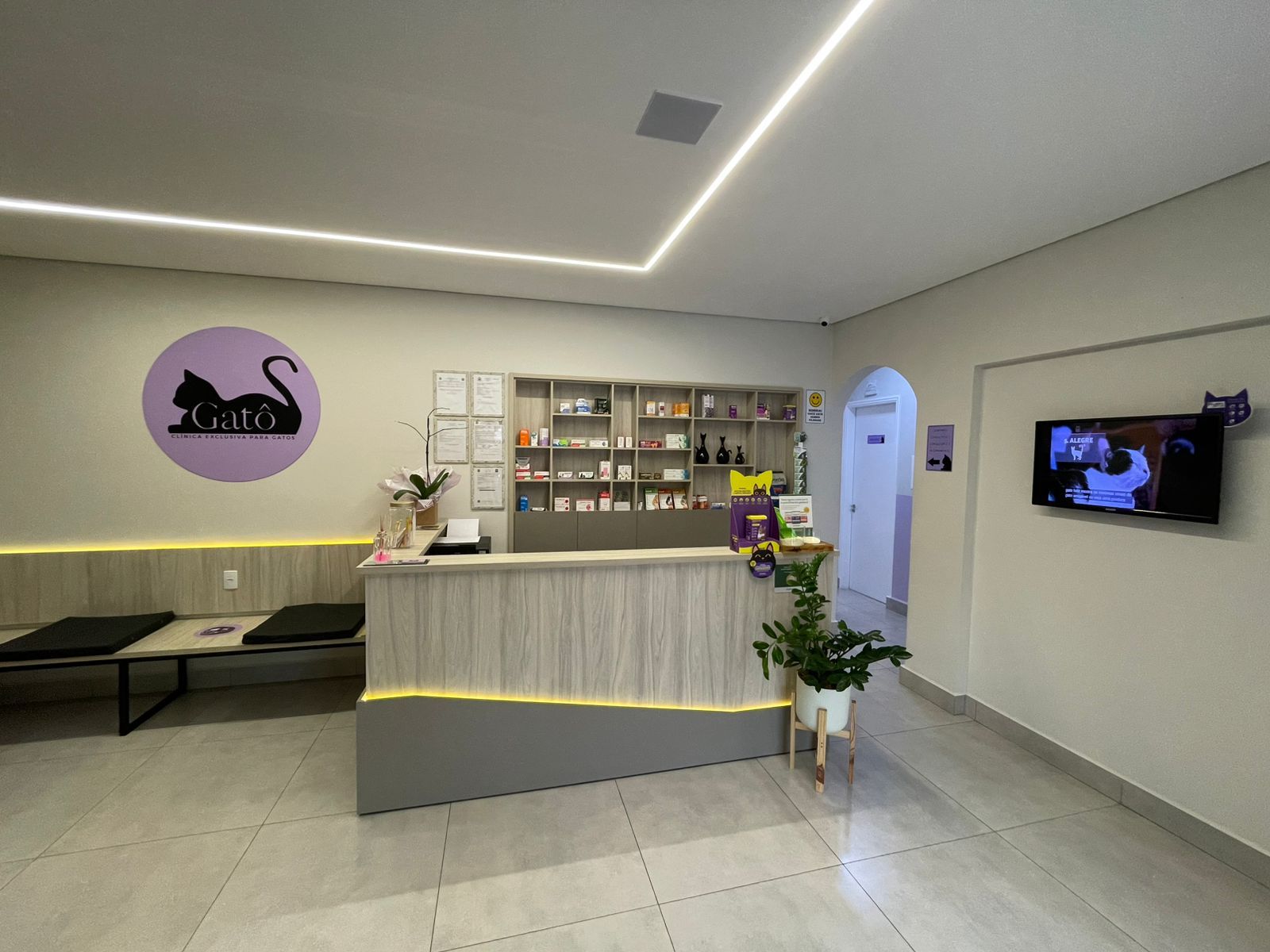 Galeria