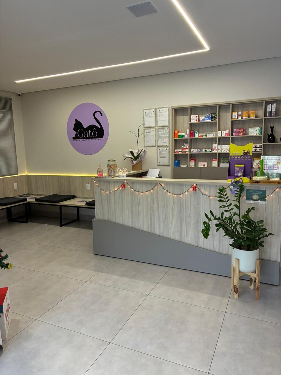 Recepção da Clínica Gatô Arapongas