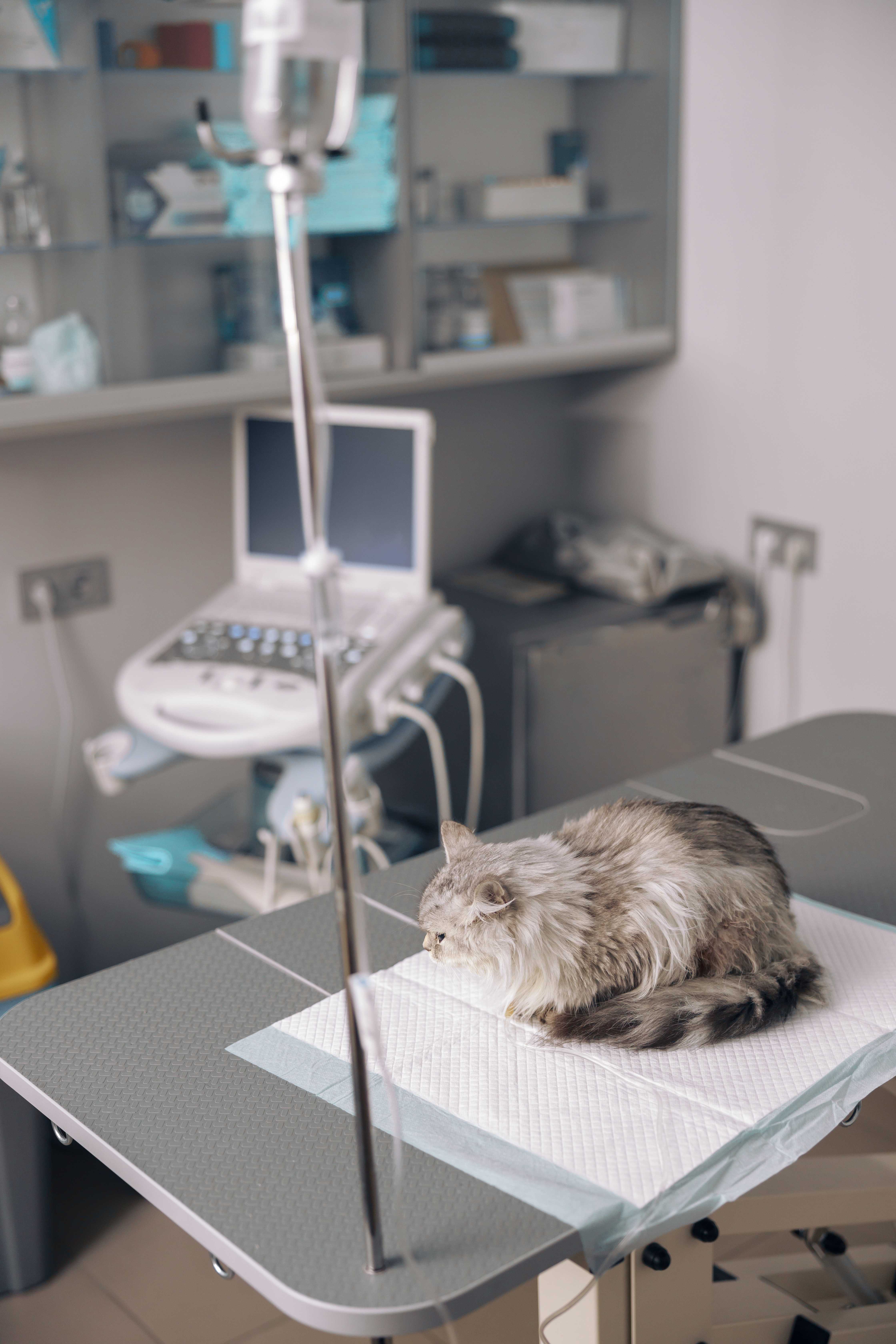 Internamento Landing Image